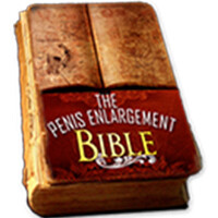 PE Bible Review