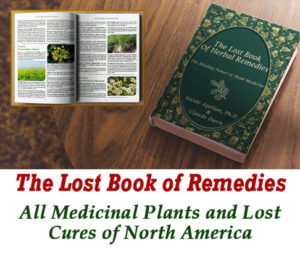 The Lost Book Of Remedies Order