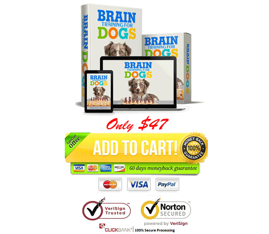download-adrienne-farricelli-brain-training-for-dogs-PDF