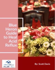 The Acid Reflux Strategy Book