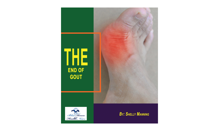 Shelly Manning The End of Gout Book Review