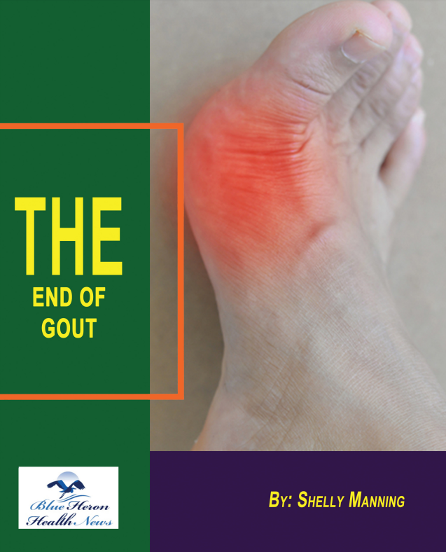 The End Of Gout Book