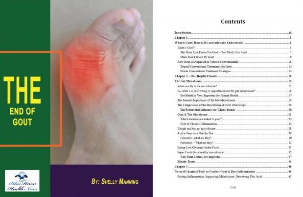 the end of gout table of contents