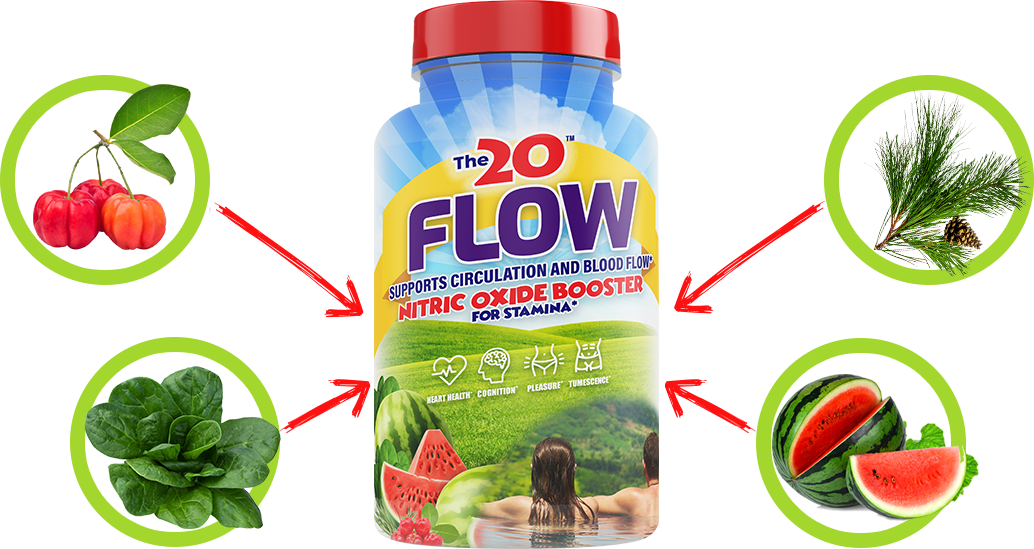 The 20 Flow Nitric Oxide Booster
