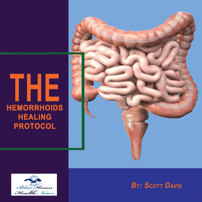 the hemorrhoids healing protocol