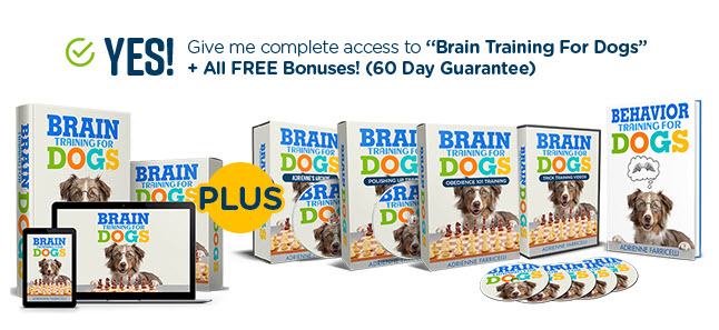 Brain-Training-For-Dogs