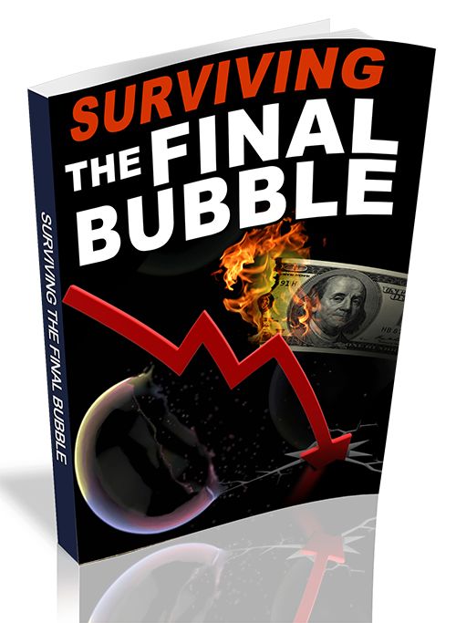 Surviving The Final Bubble Review