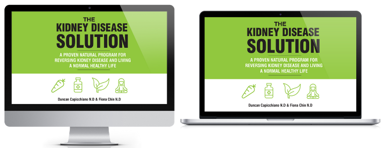 The Kidney Disease Solution Book
