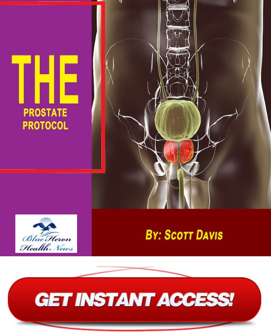 Buy The Prostate Protocol