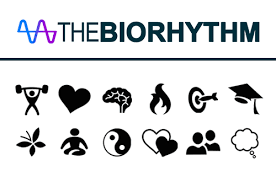 The Biorhythm Book