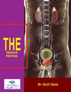 The Prostate Protocol Book