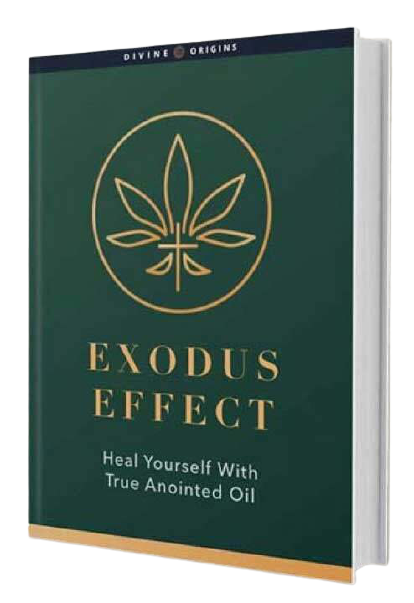 The Exodus Effect Reviews