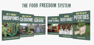 Food Freedom Online Program Reviews