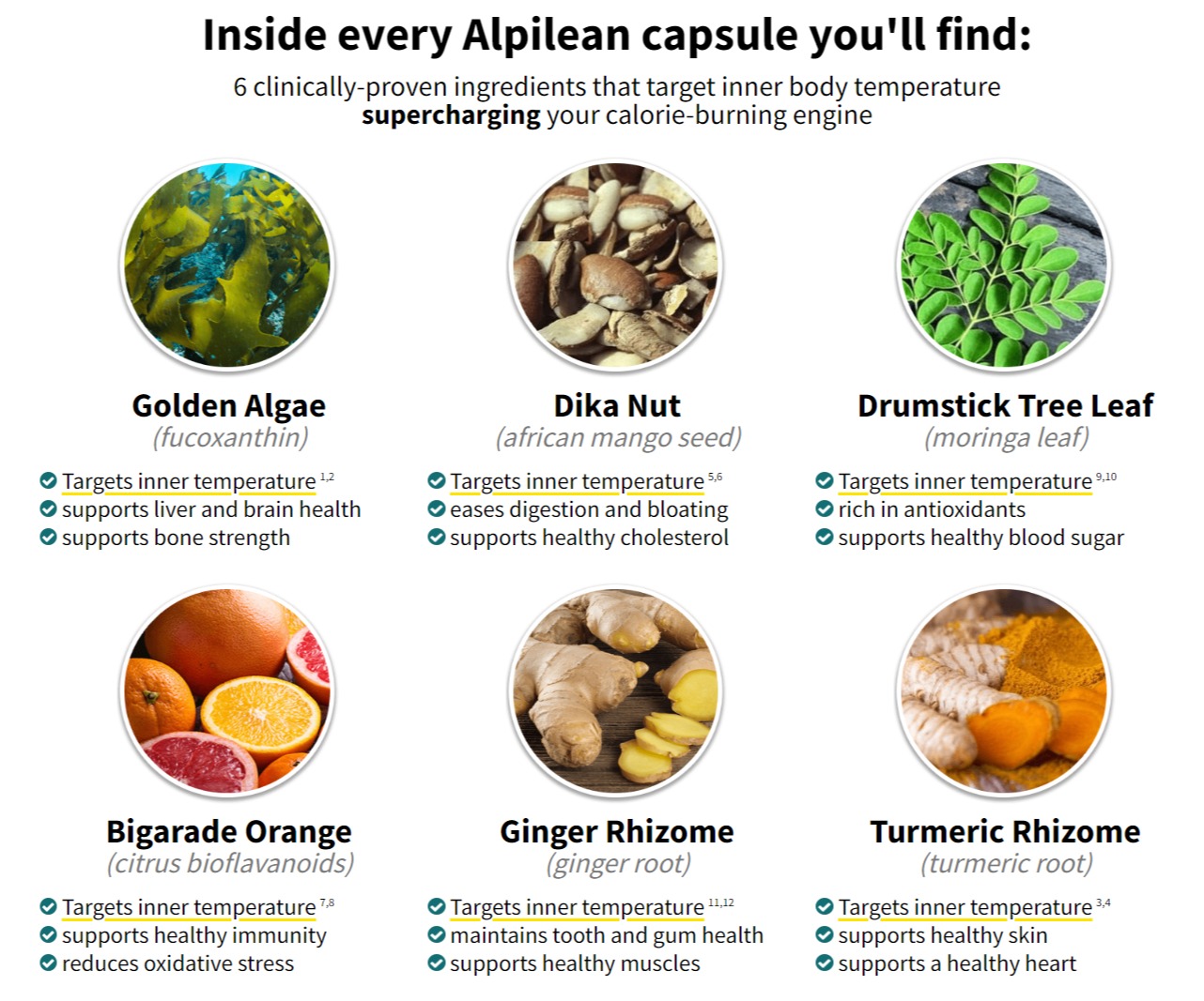 Alpilean Ingredients Label