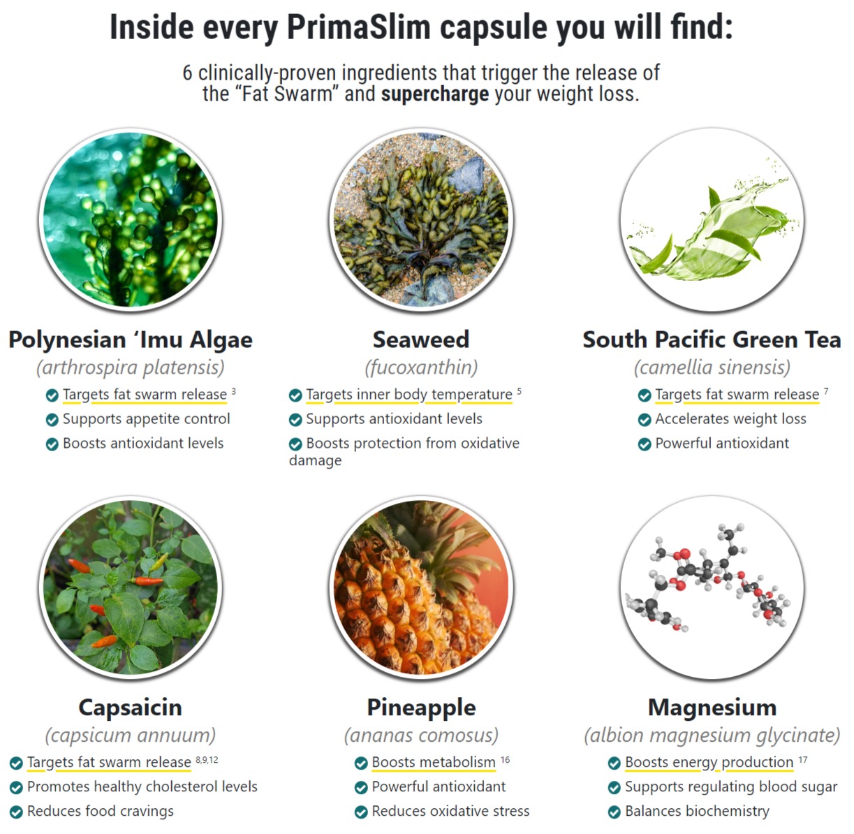 Prima Slim Ingredients Label