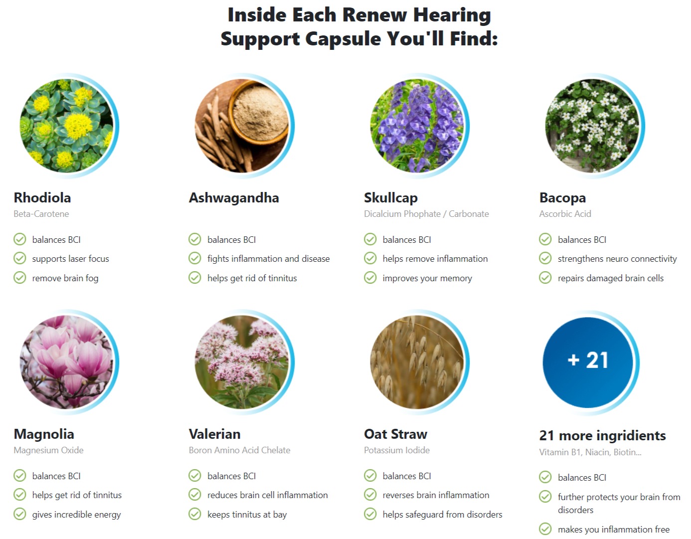 renew hearing support ingredients label