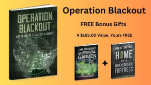 operation blackout book free download pdf